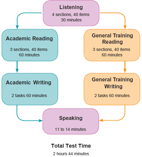 cau-truc-bai-thi-ielts